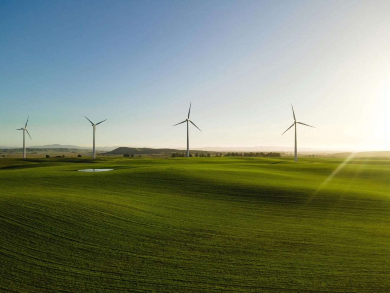 Vue sur des installations industrielles pétrolières