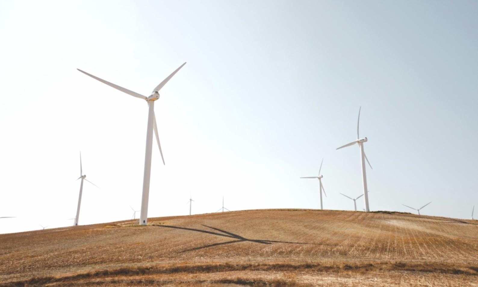 Installation industrielle pétrolière avec équipements techniques